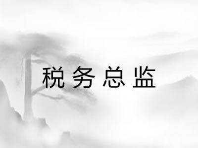 税务总监