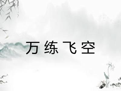 万练飞空
