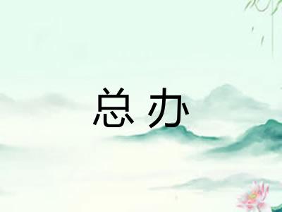 总办 总办