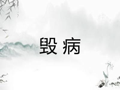 毁病