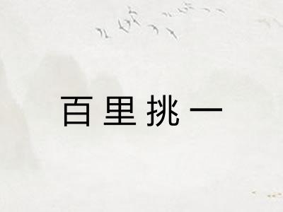 百里挑一 百里挑一